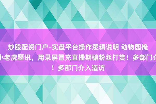 炒股配资门户-实盘平台操作逻辑说明 动物园掩蔽网红小老虎噩讯，用录屏冒充直播期骗粉丝打赏！多部门介入造访