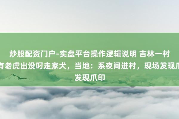 炒股配资门户-实盘平台操作逻辑说明 吉林一村落有老虎出没叼走家犬，当地：系夜间进村，现场发现爪印