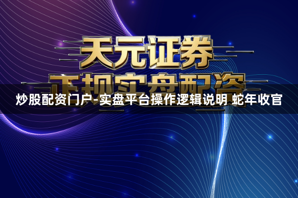 炒股配资门户-实盘平台操作逻辑说明 蛇年收官